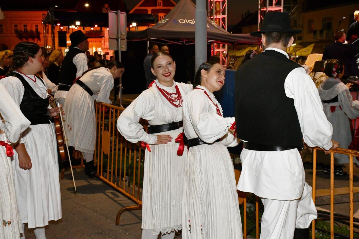 Zlatne žice Slavonije 2025. Zlatne žice Slavonije 2025.