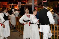 Zlatne žice Slavonije 2025. Zlatne žice Slavonije 2025.