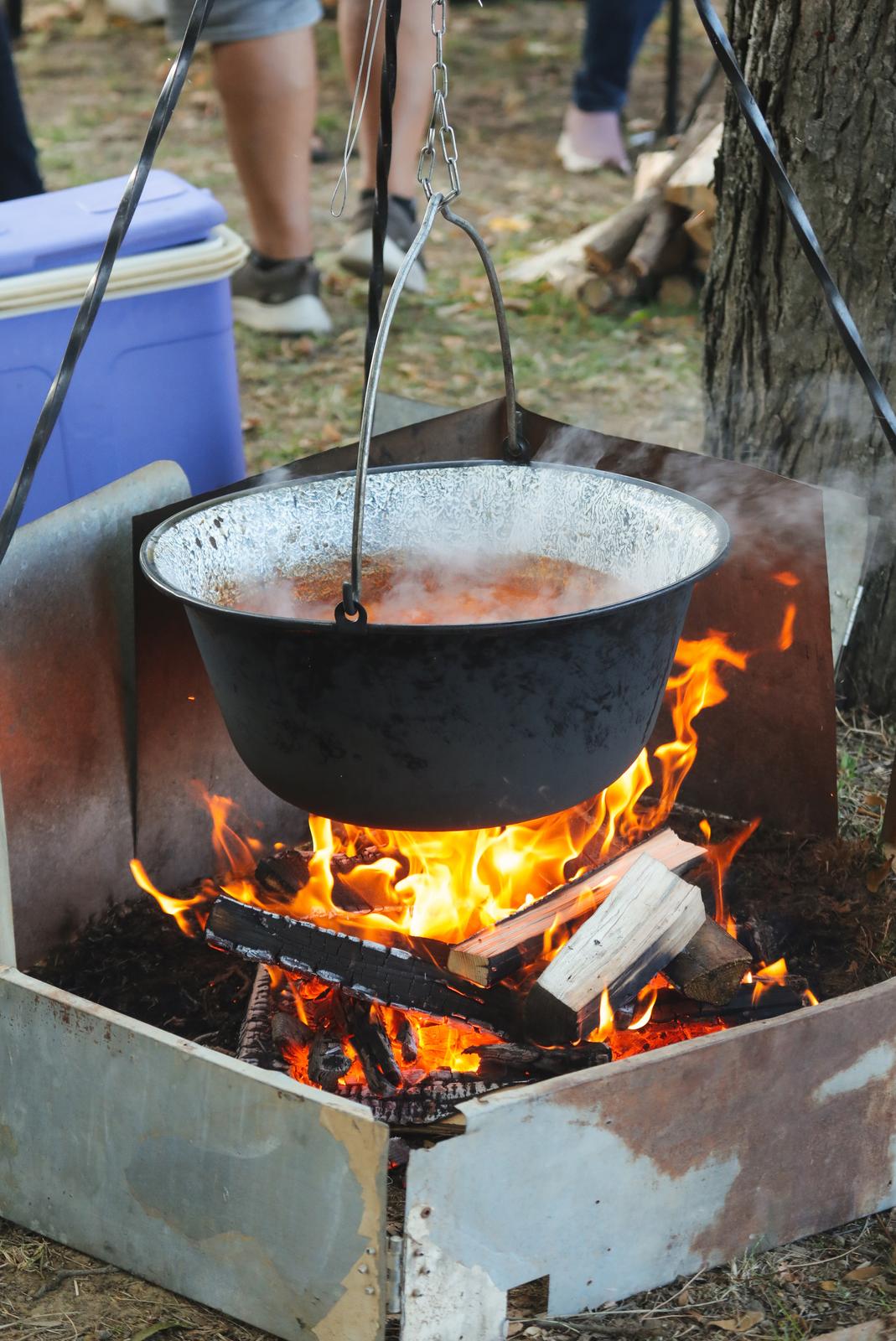Fišijada u Belom Manastiru 2025. Fišijada u Belom Manastiru 2025.