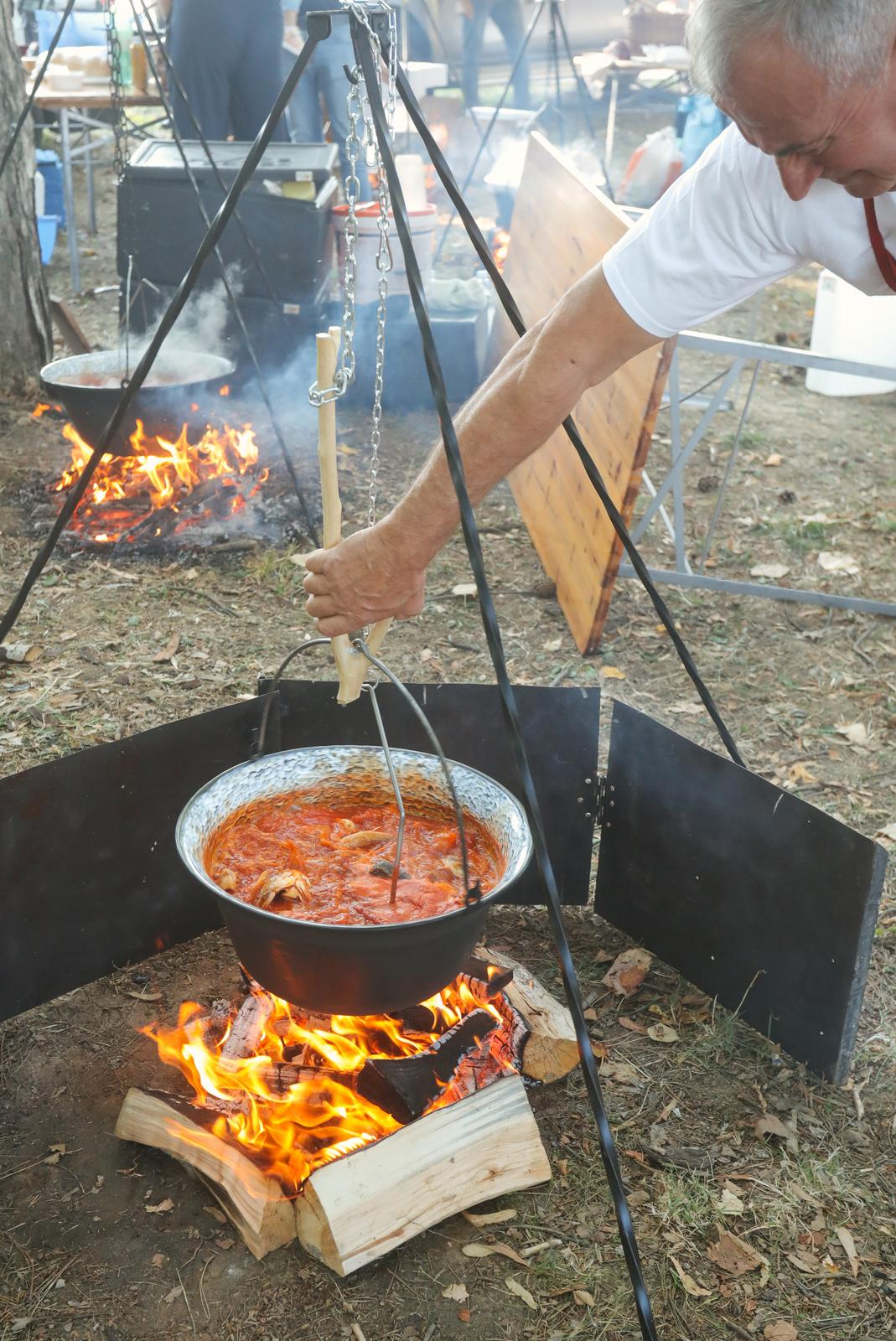 Fišijada u Belom Manastiru 2025. Fišijada u Belom Manastiru 2025.
