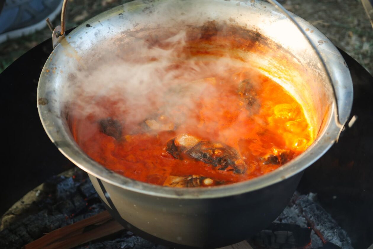 Fišijada u Belom Manastiru 2025. Fišijada u Belom Manastiru 2025.