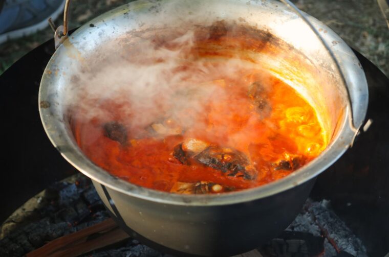 Fišijada u Belom Manastiru 2025. Fišijada u Belom Manastiru 2025.