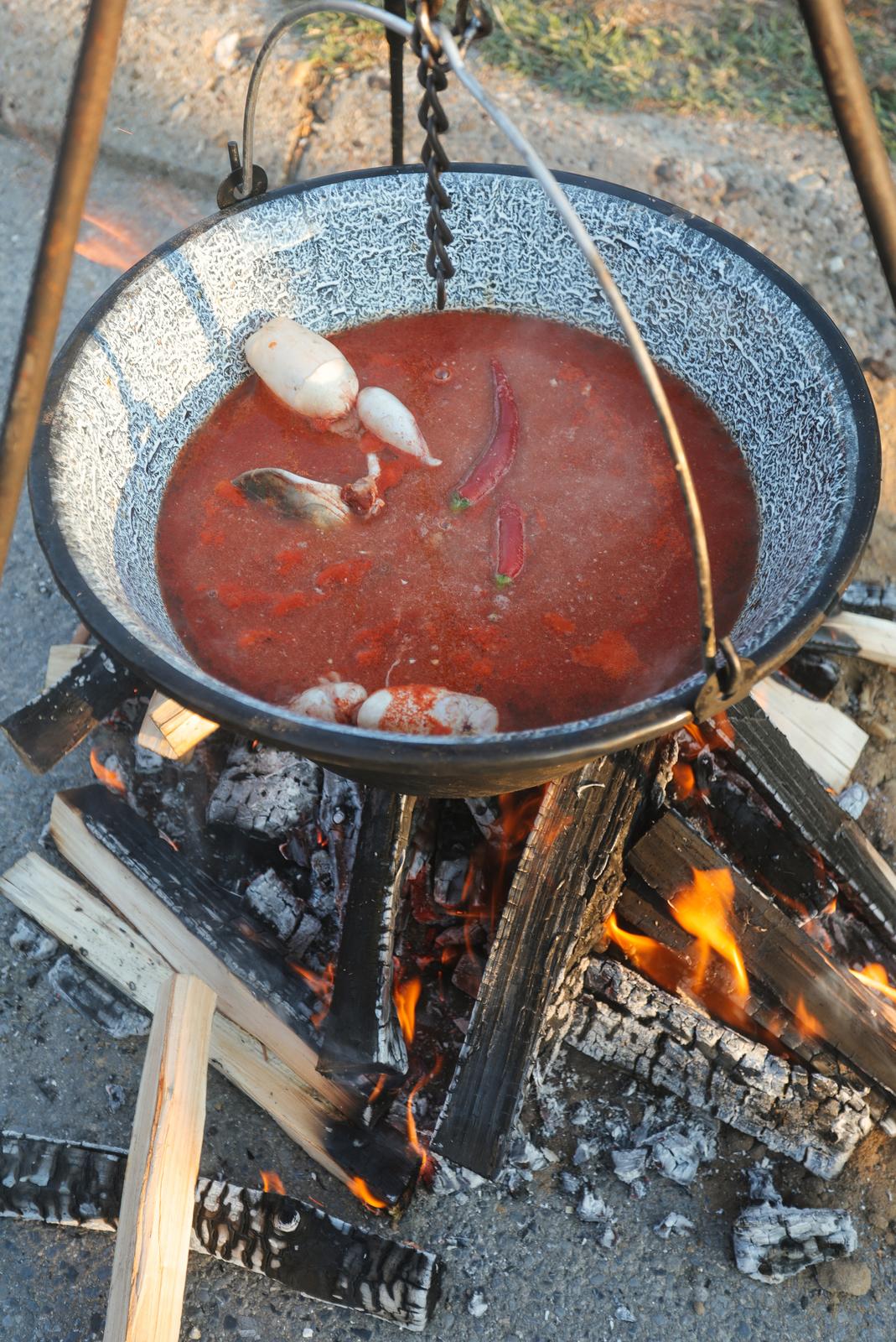 Fišijada u Belom Manastiru 2025. Fišijada u Belom Manastiru 2025.