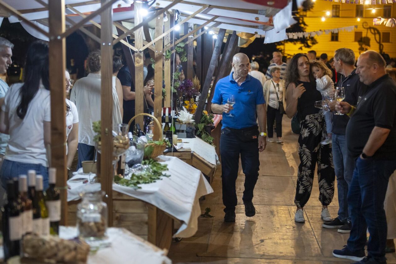 58. Iločka berba grožđa