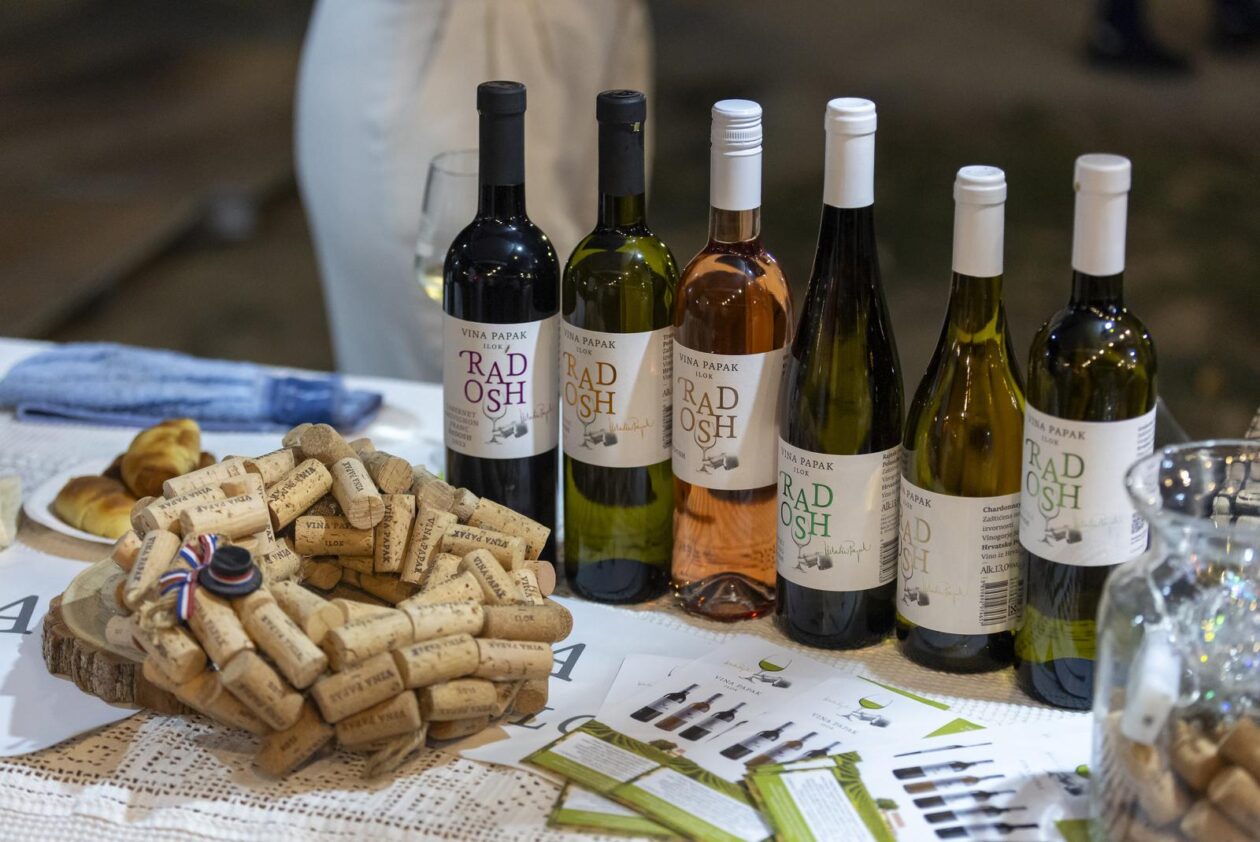 58. Iločka berba grožđa