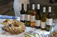 58. Iločka berba grožđa