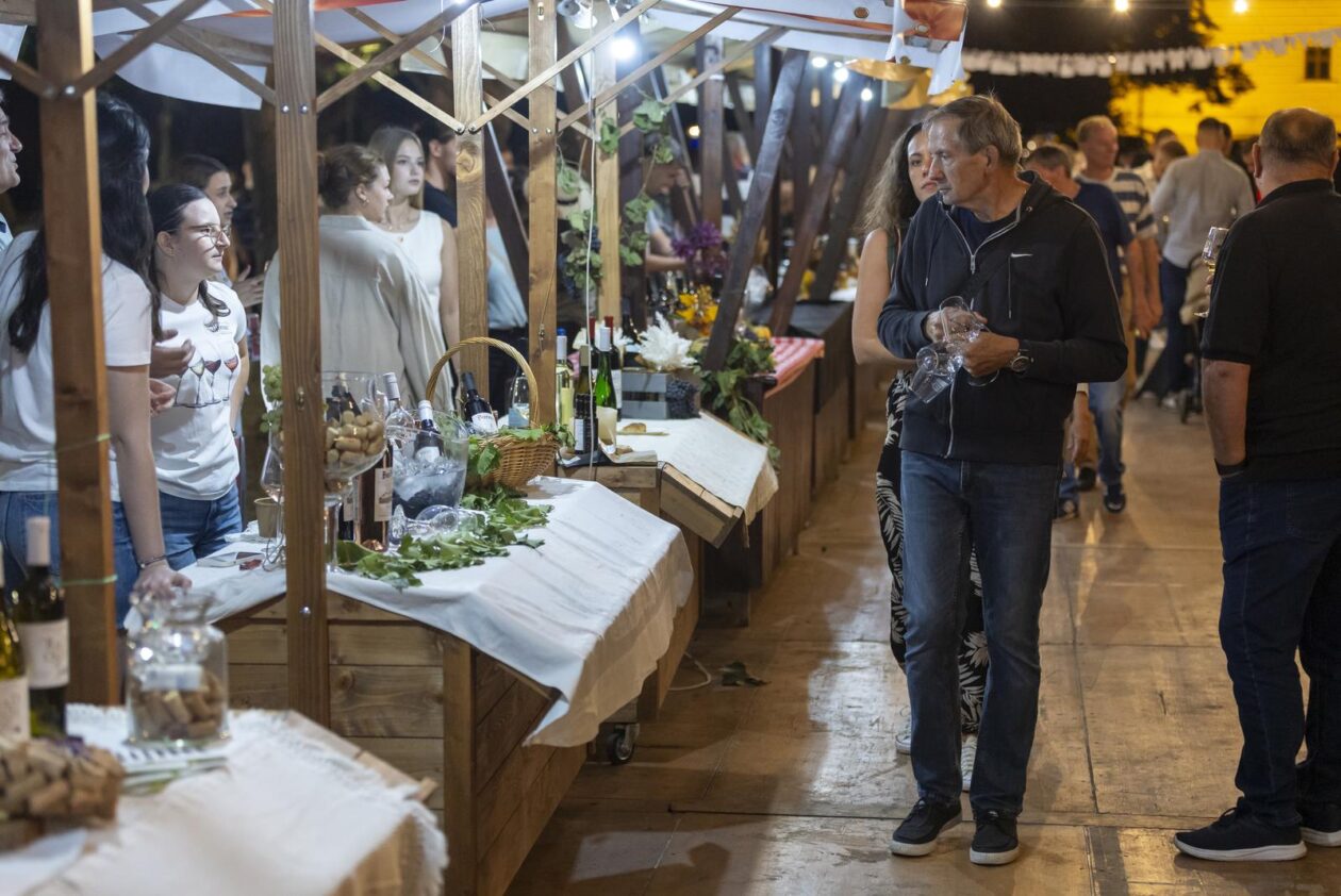 58. Iločka berba grožđa