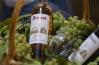 58. Iločka berba grožđa