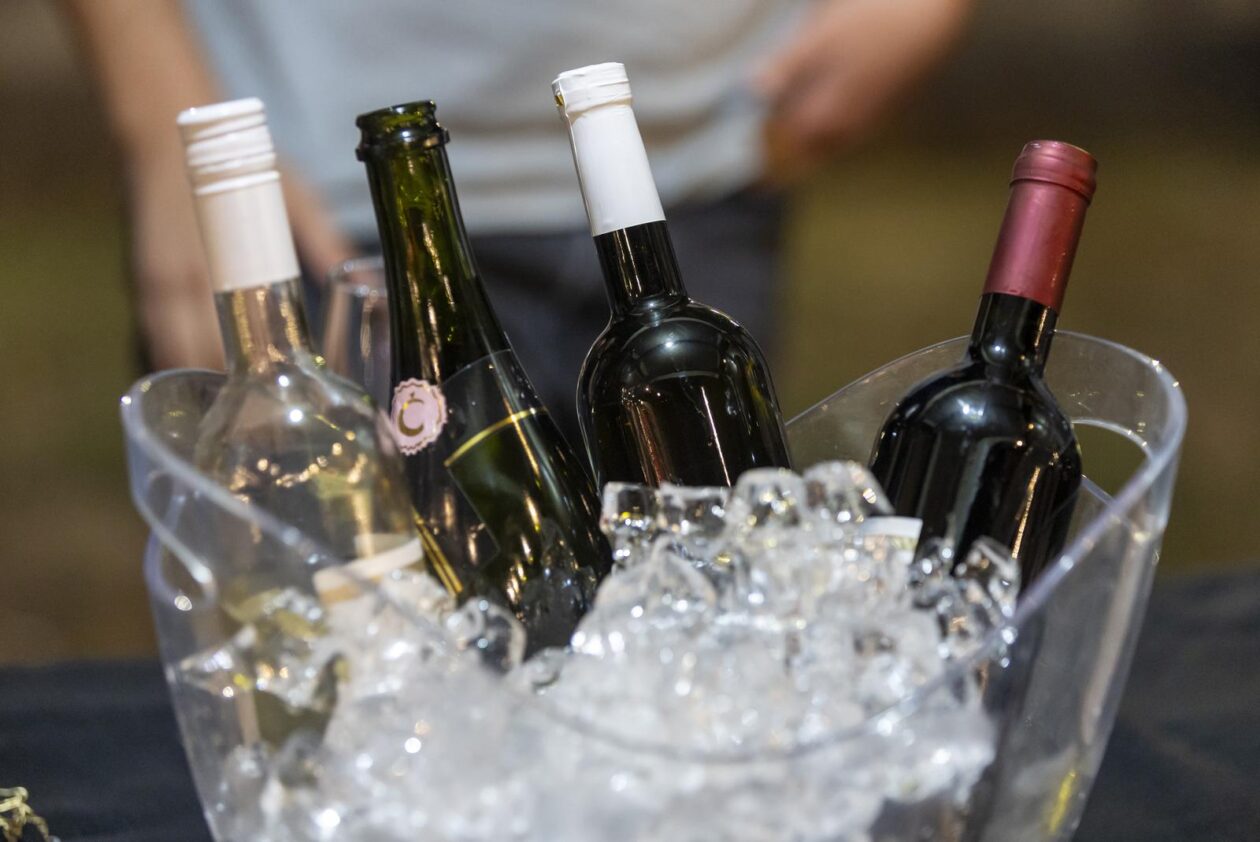 58. Iločka berba grožđa