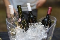 58. Iločka berba grožđa