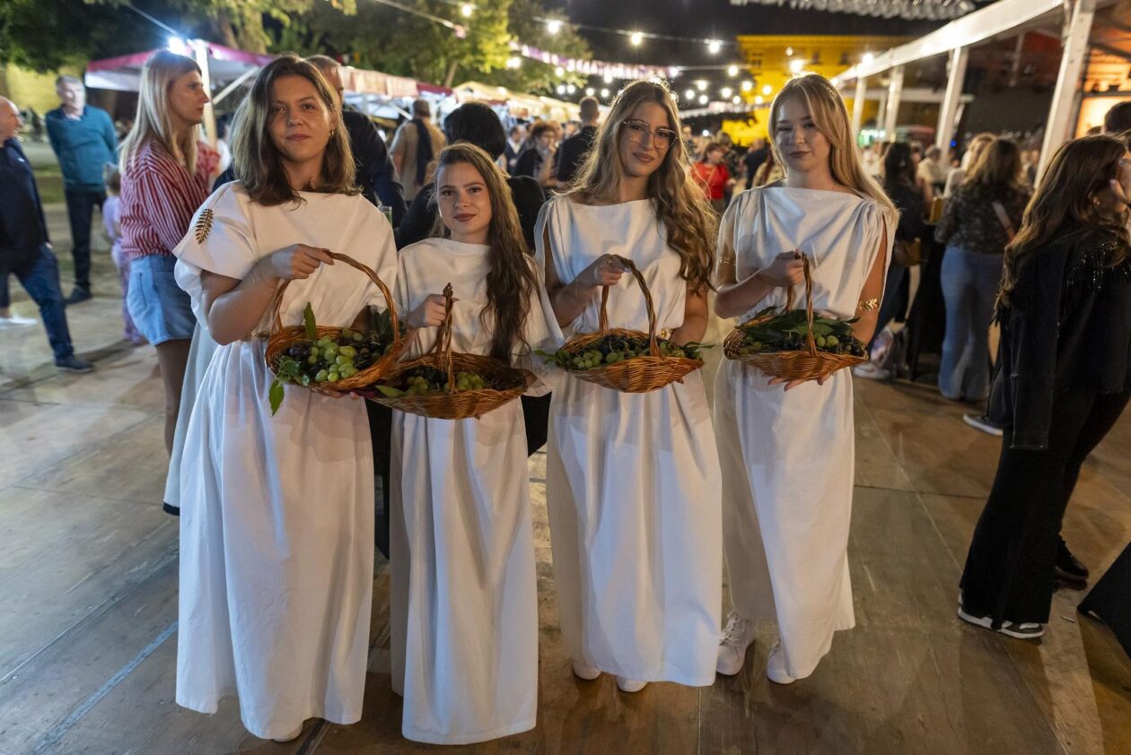 58. Iločka berbe grožđa