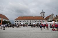 Osijek: B2Run utrka