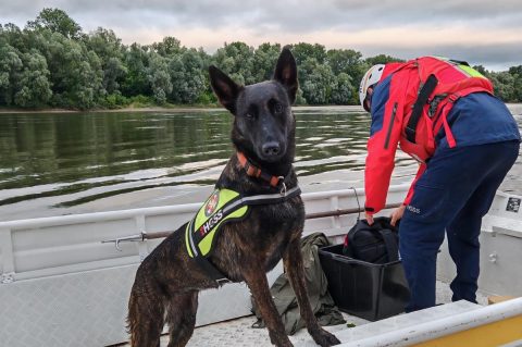 PXL_080725_135273787