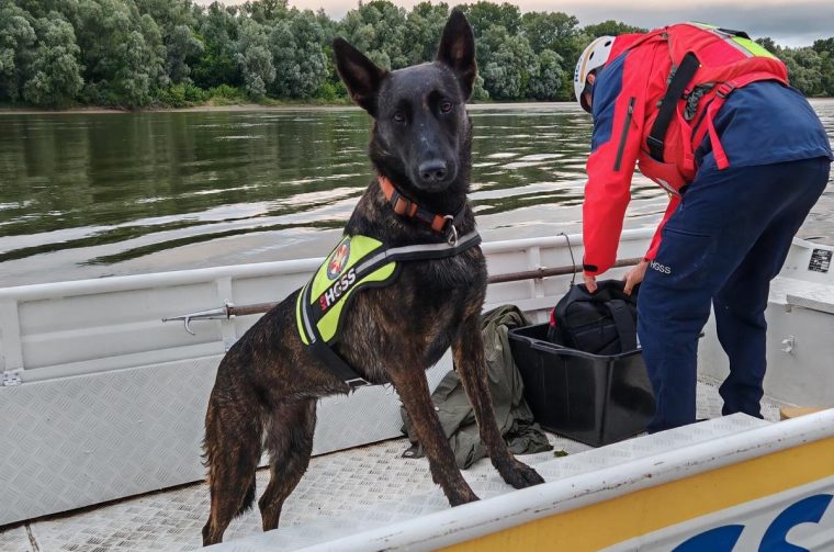 PXL_080725_135273787