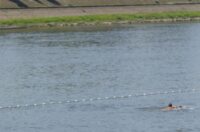 Vruća subota u Osijeku Vruća subota u Osijeku