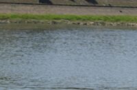 Vruća subota u Osijeku Vruća subota u Osijeku