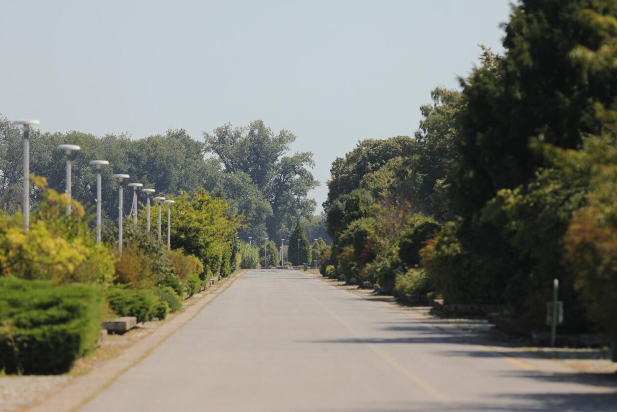 Vruća subota u Osijeku Vruća subota u Osijeku