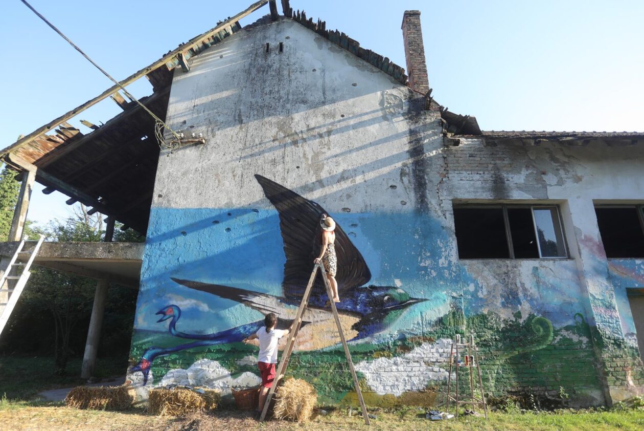 Kozjak : Održan 19. Slama festival – Sloboda