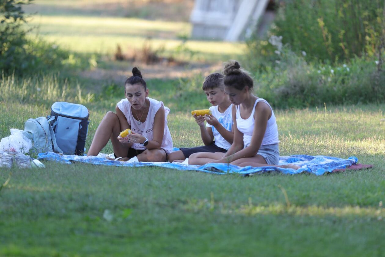 Kozjak : Održan 19. Slama festival – Sloboda