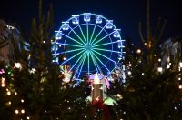 Advent u Slavonskom Brodu 2025.