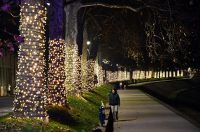 Advent u Slavonskom Brodu 2025.