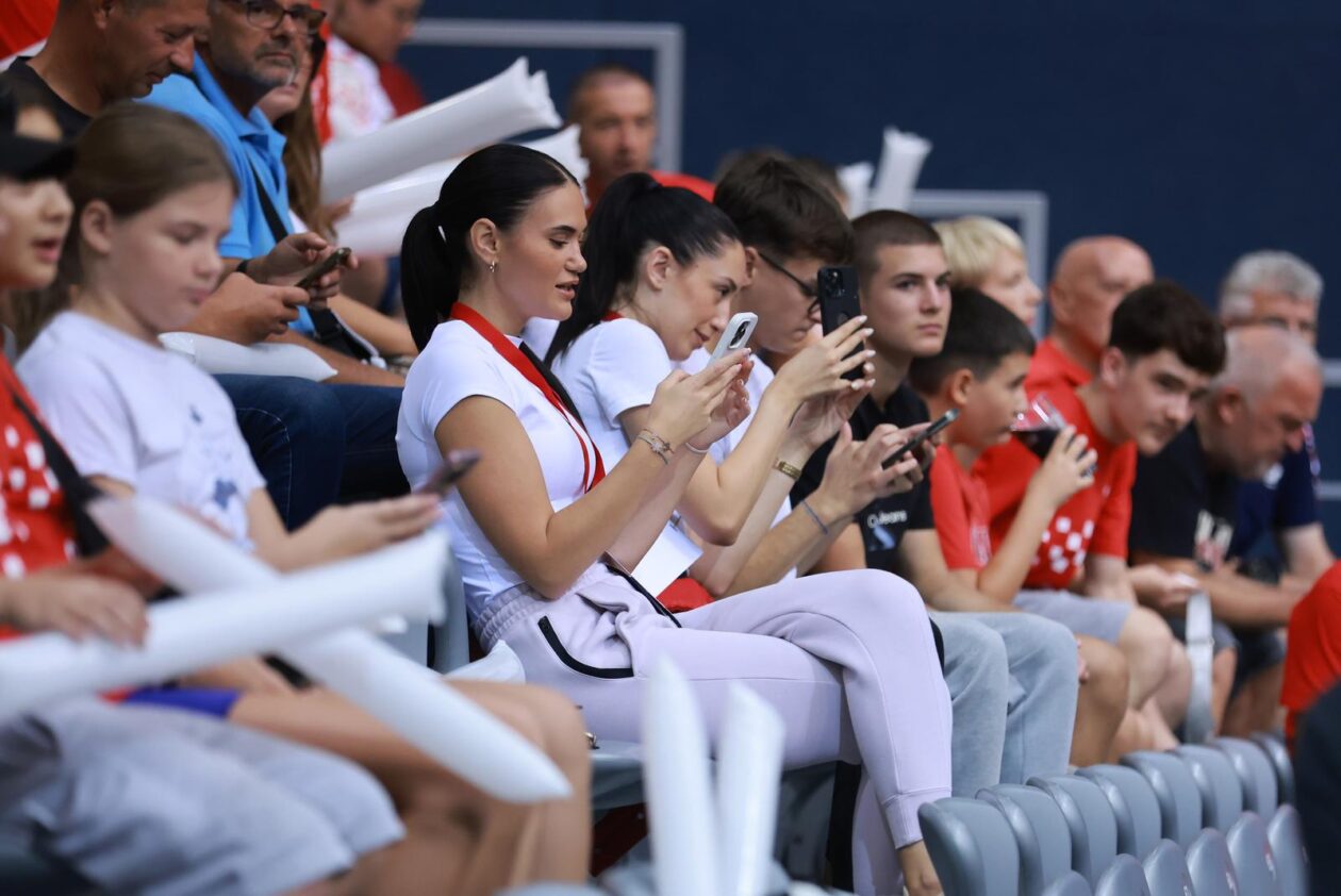 Davis Cup u Osijeku 2025.