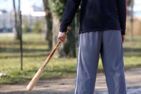 baseball palica bejzbol baseball palica bejzbol