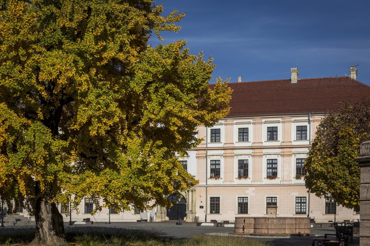 Osijek: Ginko na trgu Sv. Trojstva osječke Tvrđe počeo je poprimati svoju jesensku žutu boju Osijek: Ginko na trgu Sv. Trojstva osječke Tvrđe počeo je poprimati svoju jesensku žutu boju