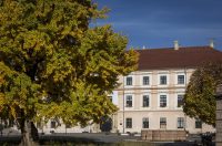 Osijek: Ginko na trgu Sv. Trojstva osječke Tvrđe počeo je poprimati svoju jesensku žutu boju Osijek: Ginko na trgu Sv. Trojstva osječke Tvrđe počeo je poprimati svoju jesensku žutu boju