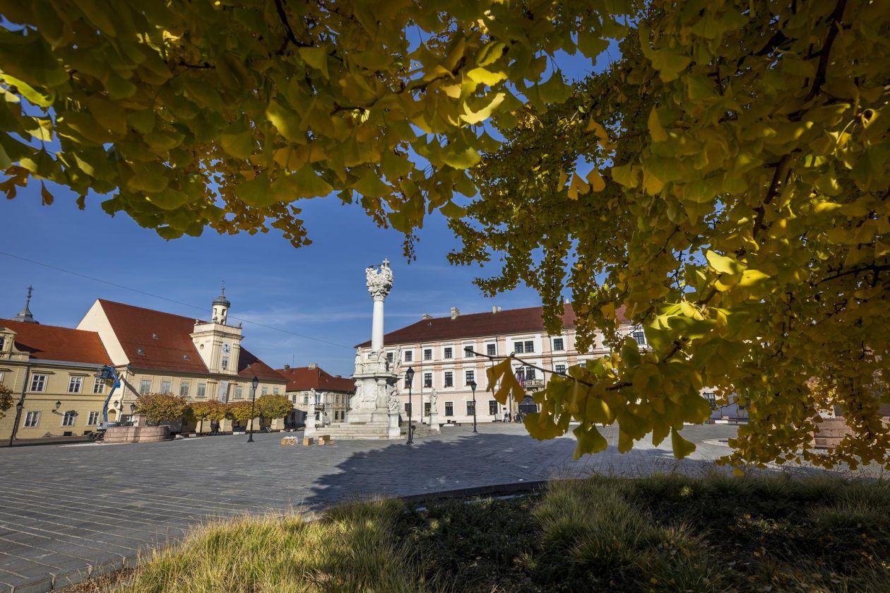 Osijek: Ginko na trgu Sv. Trojstva osječke Tvrđe počeo je poprimati svoju jesensku žutu boju Osijek: Ginko na trgu Sv. Trojstva osječke Tvrđe počeo je poprimati svoju jesensku žutu boju