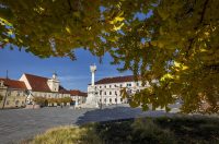 Osijek: Ginko na trgu Sv. Trojstva osječke Tvrđe počeo je poprimati svoju jesensku žutu boju Osijek: Ginko na trgu Sv. Trojstva osječke Tvrđe počeo je poprimati svoju jesensku žutu boju