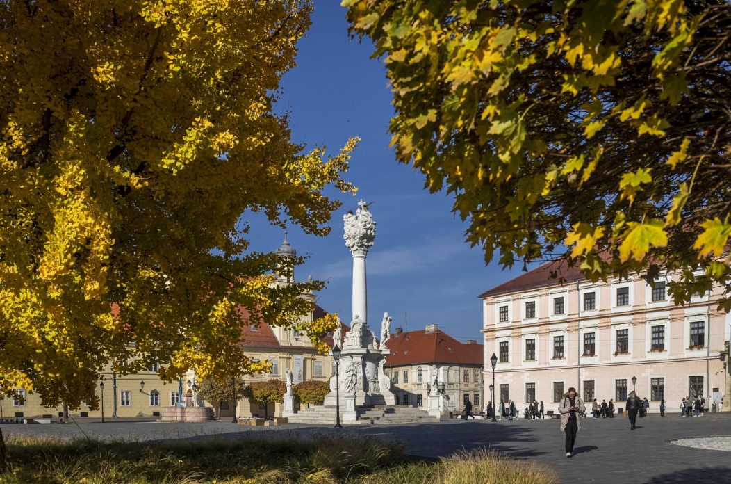 Osijek: Ginko na trgu Sv. Trojstva osječke Tvrđe počeo je poprimati svoju jesensku žutu boju