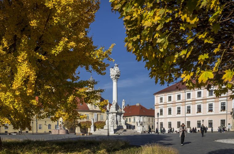 Osijek: Ginko na trgu Sv. Trojstva osječke Tvrđe počeo je poprimati svoju jesensku žutu boju