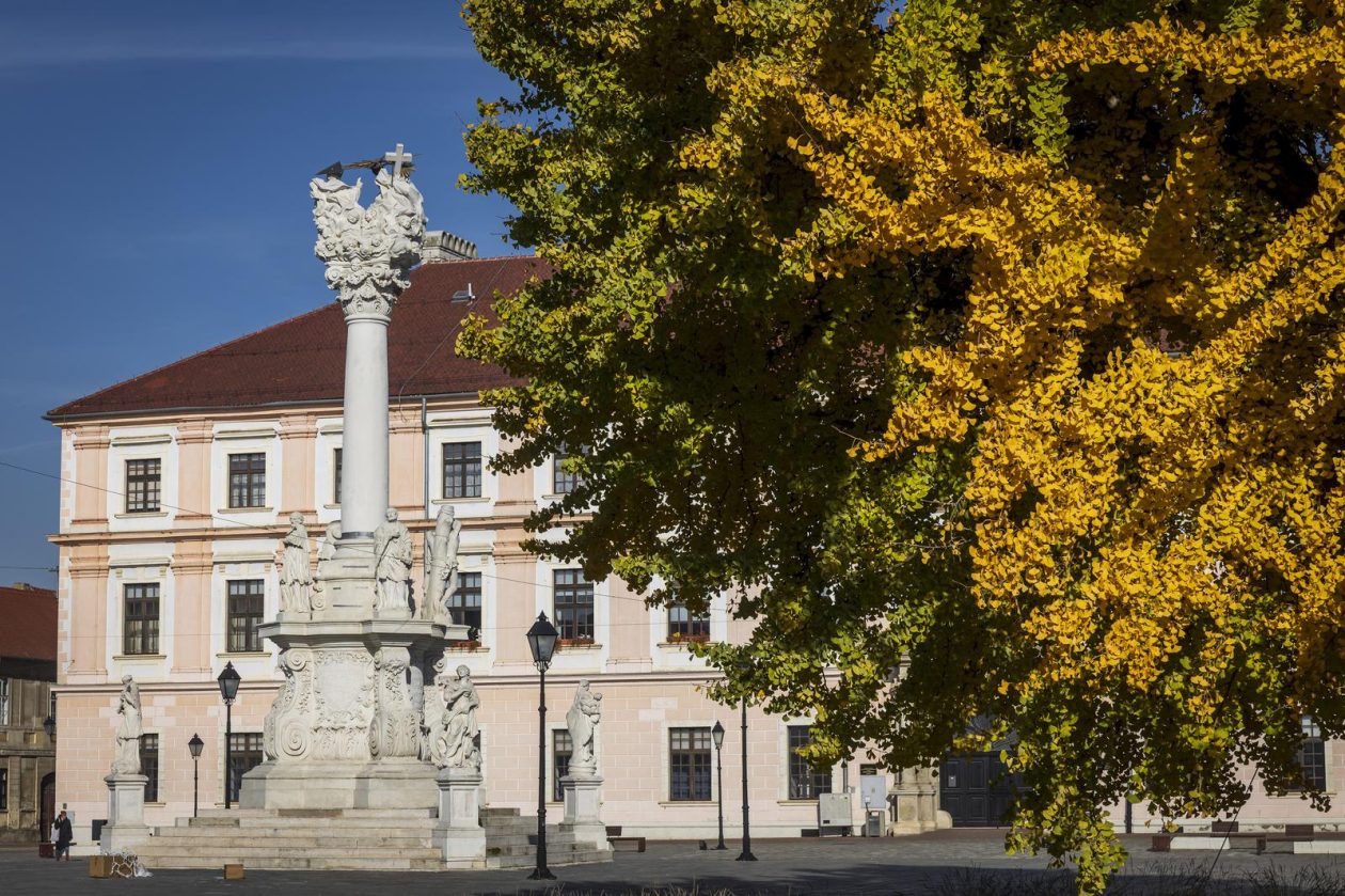 Osijek: Ginko na trgu Sv. Trojstva osječke Tvrđe počeo je poprimati svoju jesensku žutu boju Osijek: Ginko na trgu Sv. Trojstva osječke Tvrđe počeo je poprimati svoju jesensku žutu boju