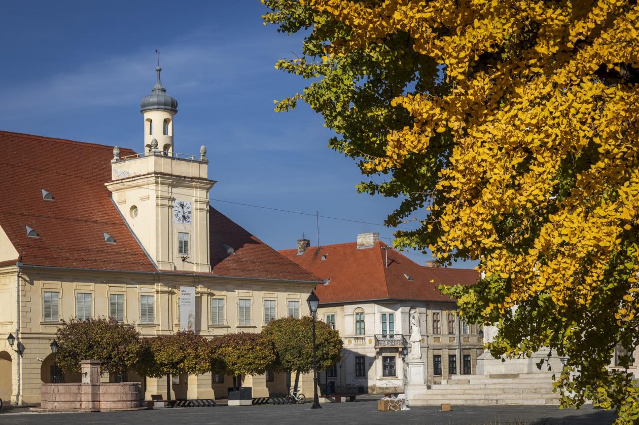 Osijek: Ginko na trgu Sv. Trojstva osječke Tvrđe počeo je poprimati svoju jesensku žutu boju Osijek: Ginko na trgu Sv. Trojstva osječke Tvrđe počeo je poprimati svoju jesensku žutu boju
