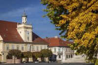 Osijek: Ginko na trgu Sv. Trojstva osječke Tvrđe počeo je poprimati svoju jesensku žutu boju Osijek: Ginko na trgu Sv. Trojstva osječke Tvrđe počeo je poprimati svoju jesensku žutu boju