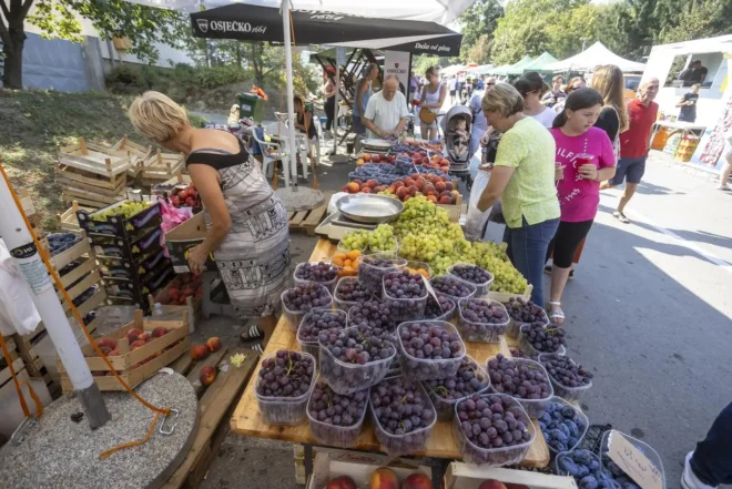 Velika Gospa u Aljmašu 2024. Velika Gospa u Aljmašu 2024.
