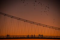 Osijek: Prekrasan zalazak sunca na Dravi Osijek: Prekrasan zalazak sunca na Dravi