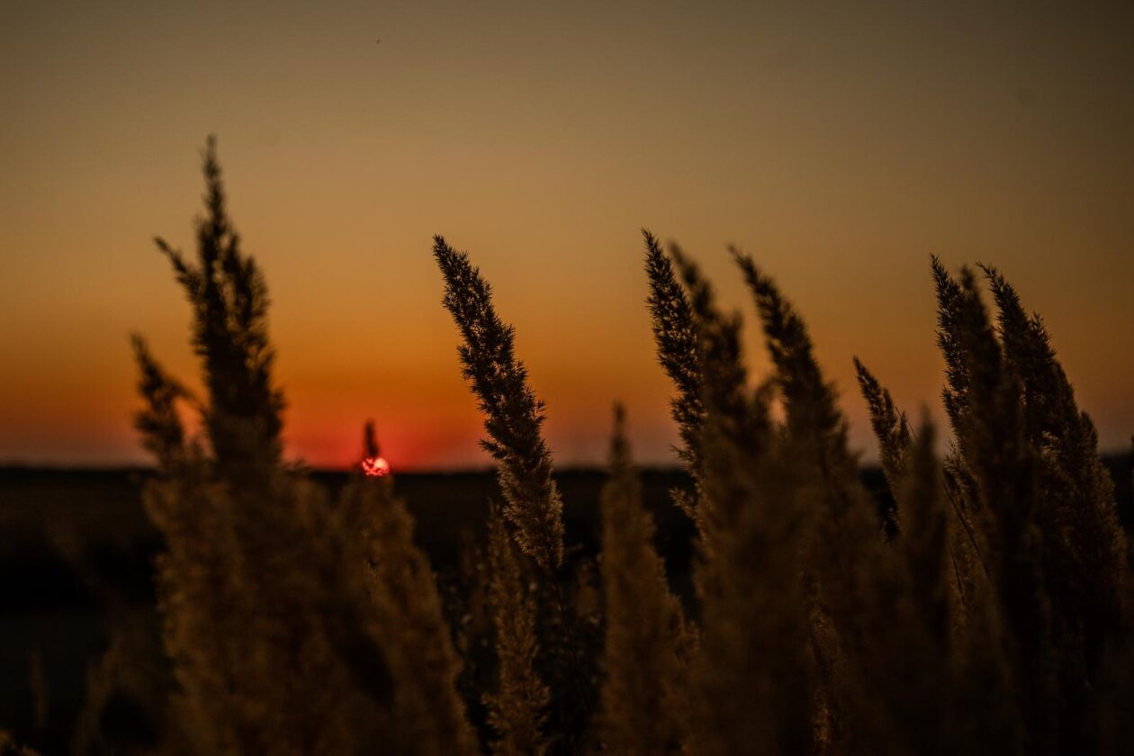 Osijek: Prekrasan zalazak sunca na Dravi Osijek: Prekrasan zalazak sunca na Dravi