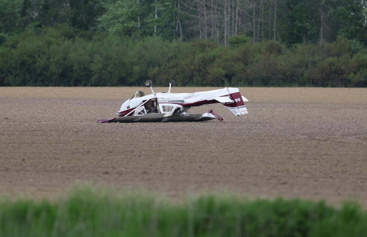 avion u polju avion u polju
