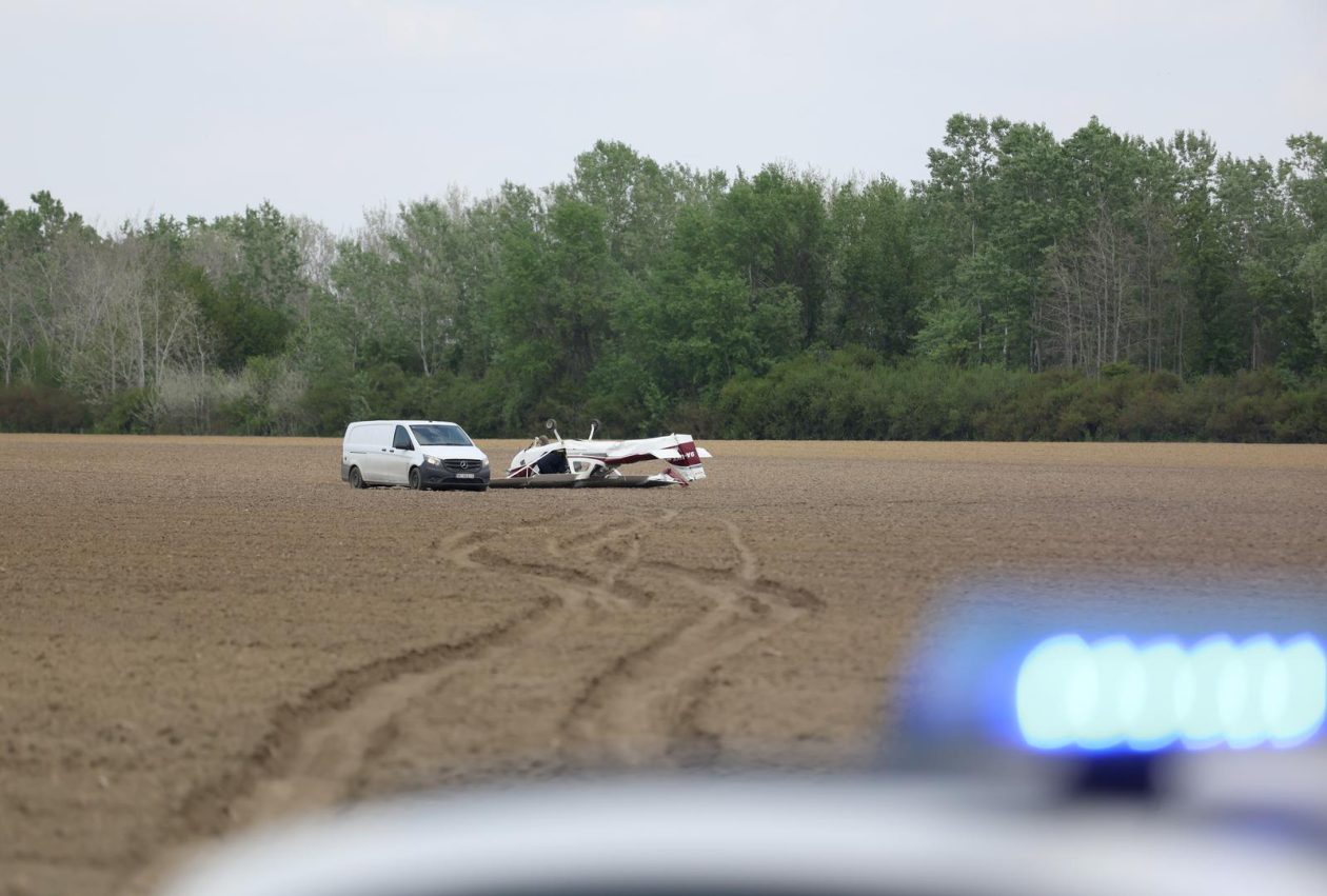 avion u polju avion u polju