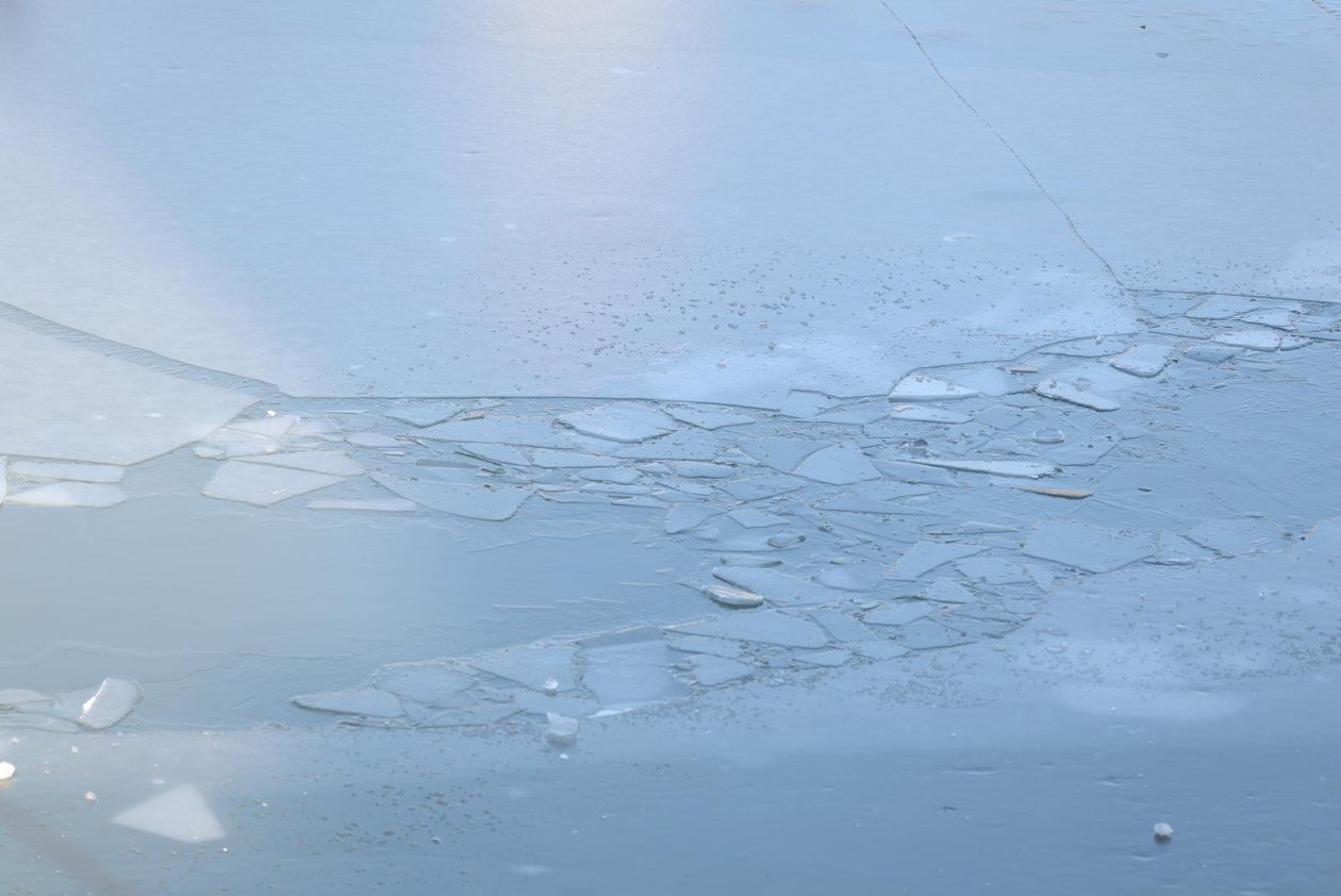 hladna zimska šetnja