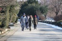 hladna zimska šetnja