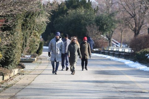 hladna zimska šetnja