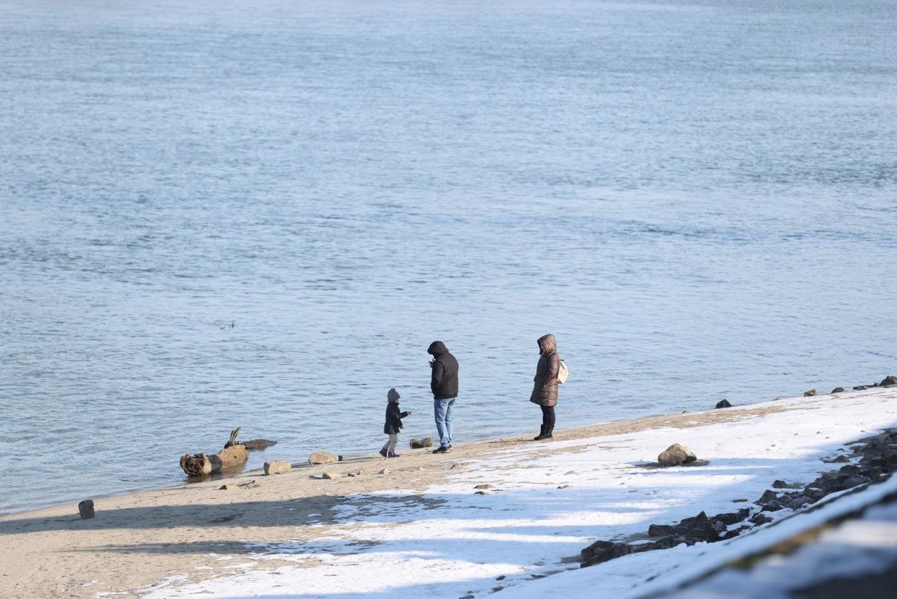 hladna zimska šetnja