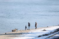 hladna zimska šetnja