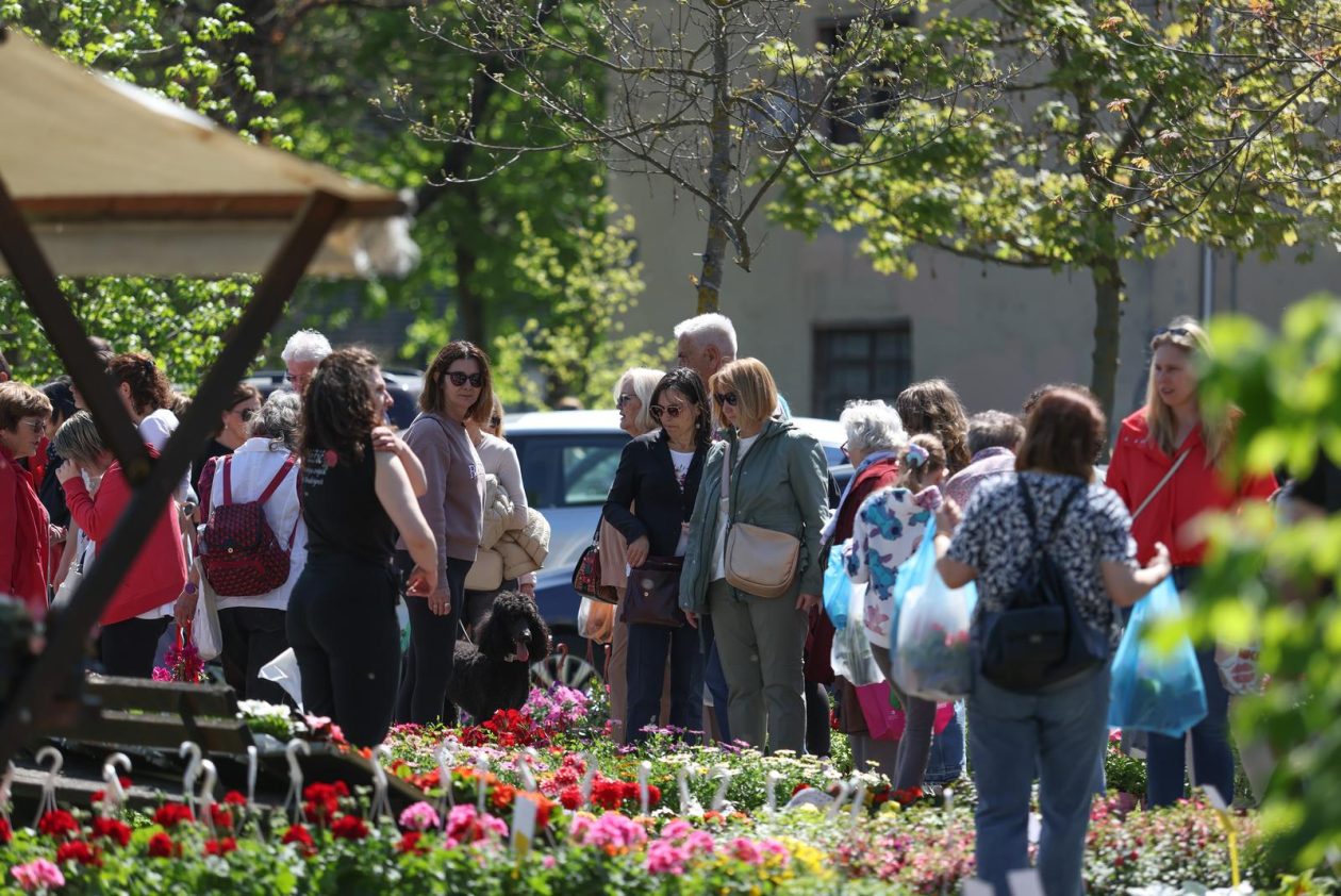 Sajam cvijeća 2026.