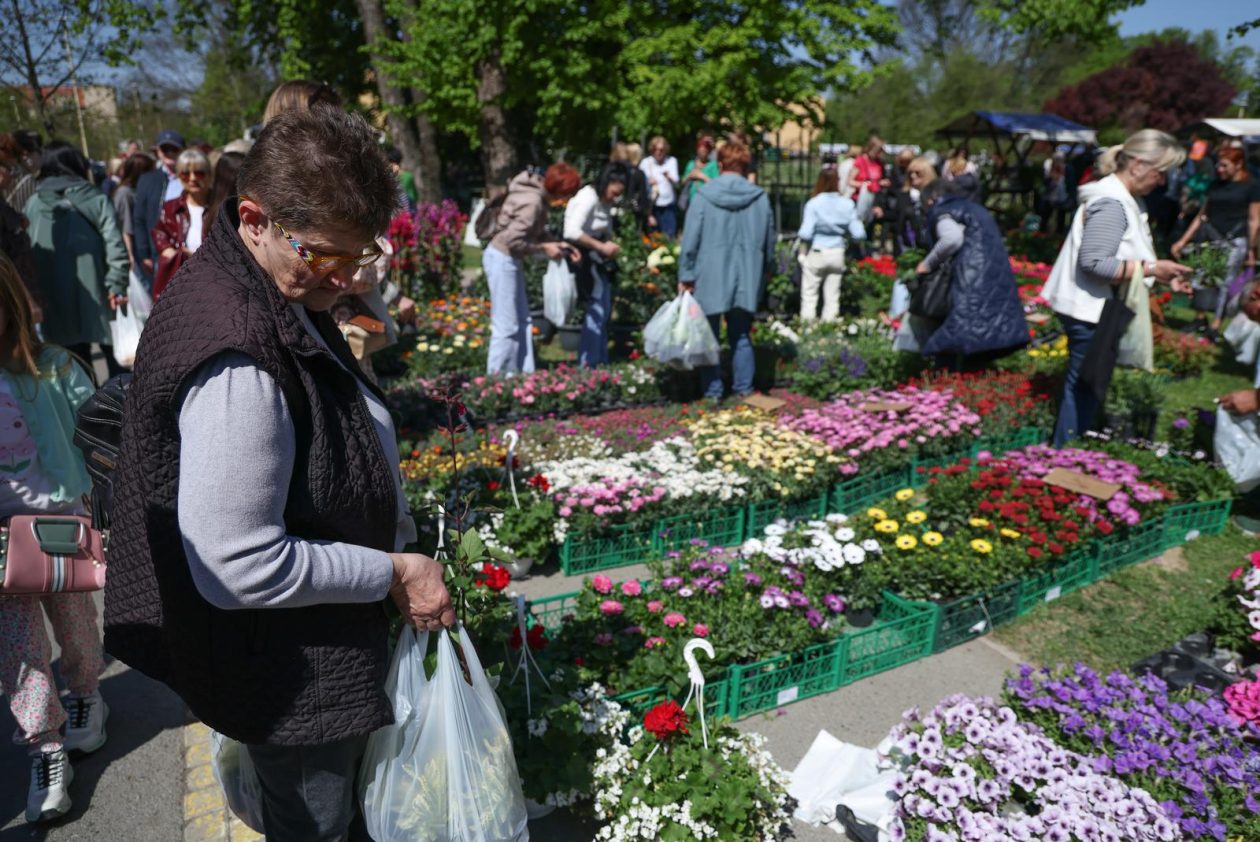 Sajam cvijeća 2026.