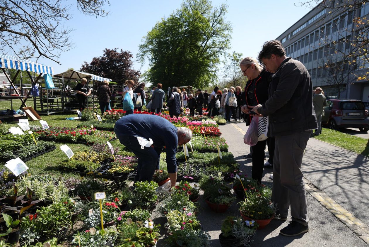 Sajam cvijeća 2026.