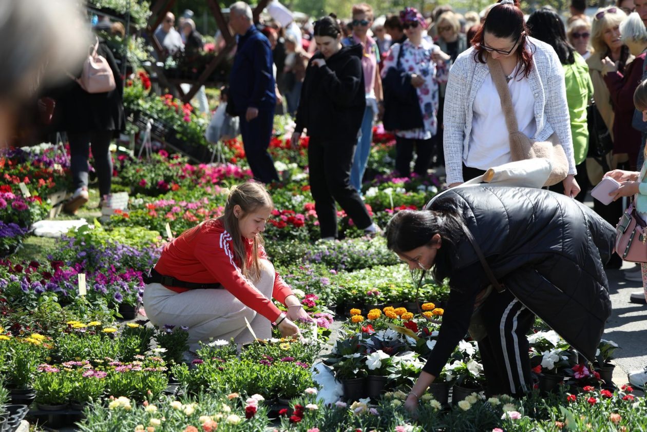 Sajam cvijeća 2026.